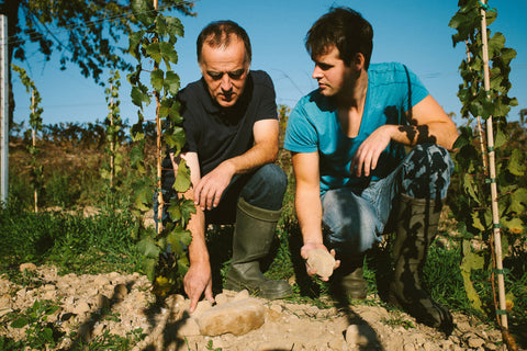 Weingut Becker