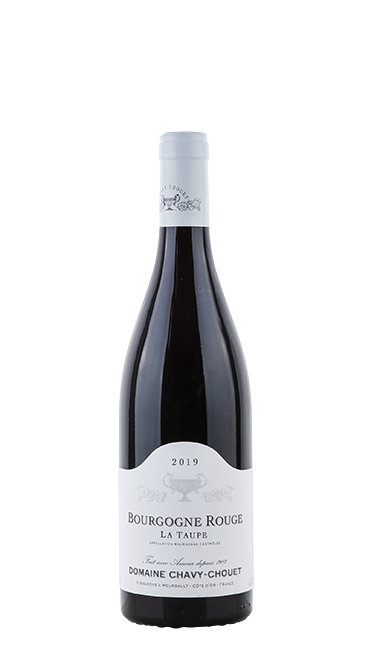 Chavy-Chouet Bourgogne Rouge "La Taupe" 2020 - wundervino